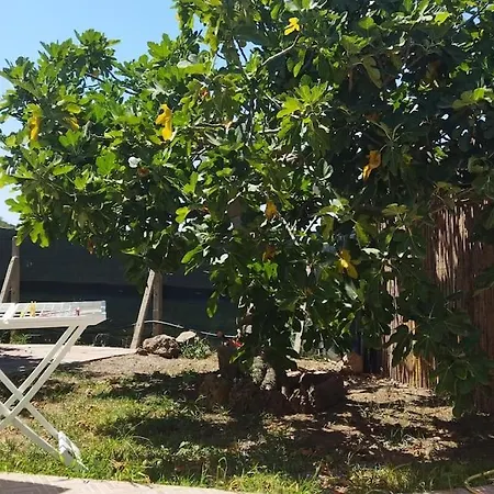 Tiny House To Sea Iglesias